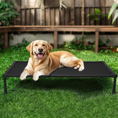 Unleash the Power of Durability: Exploring Non-Chewable Dog Beds