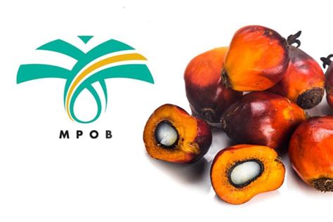 Unleash the Power of Malaysian Palm Oil: How MPOB Can Propel Your Business Forward