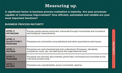 Unleash the Power of Maturity Function Stills: Elevate Your Business Today