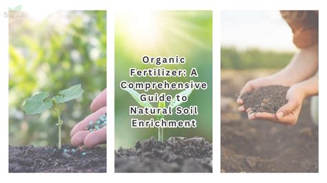 Unleash the Power of Organic Fertilizer: A Comprehensive Guide