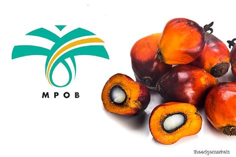 Unleash the Power of Palm Oil: How MPOB Can Help Your Business Thrive