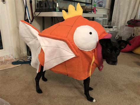 Unleash the Power of Pokémon Dog Costumes: A Guide to Finding the Perfect Costume for Your Furry Friend