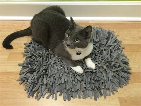 Unleash the Power of Scent: Snuffle Mats and the Enriching World of Cats