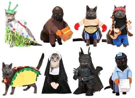 Unleash the Purrfect Adventure: A Guide to Kids Cat Costumes