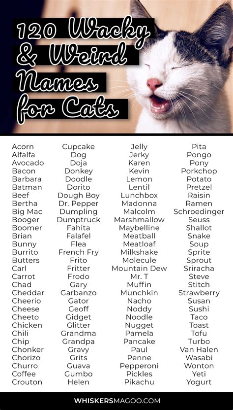 Unleash the Purrfectly Peculiar: A Comprehensive Guide to Odd Cat Names