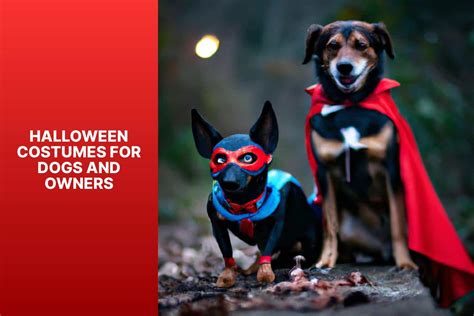 Unleash the Spooktacular: Halloween Costume Extravaganza for Large Doggos