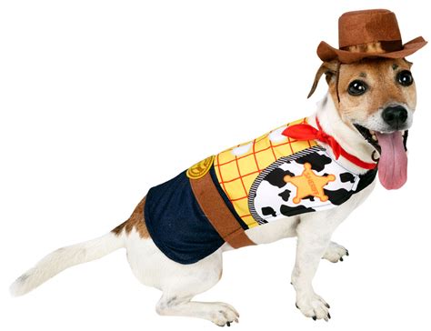 Unleash the Wild West in Your Pup: The Ultimate Guide to Cowboy Costumes for Dogs