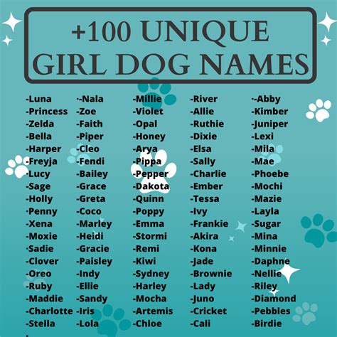 Unleash the Wonder: A Comprehensive Guide to Unique Female Dog Names