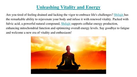 Unleashing Vitality: