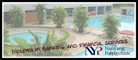 Unleashing Your Financial Potential with Nanyang Polytechnic's Banking and Finance Program