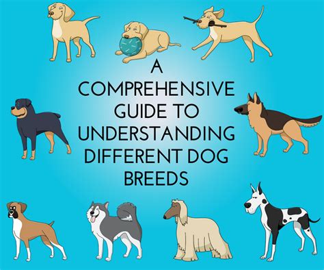 Unleashing the "Let Me Do It" Spirit: A Comprehensive Guide to Dog Breeds that Thrive on Involvement