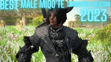 Unleashing the Feline Grace: A Comprehensive Guide to Male Miqo'te