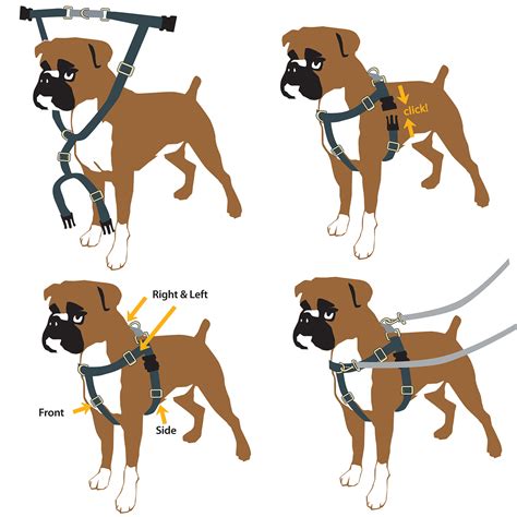 Unleashing the Freedom: A Comprehensive Guide to the Freedom Harness No Pull Dog Harness