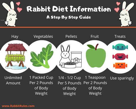 Unleashing the Nutritional Power: A Comprehensive Guide to the Best Vegetables for Rabbits