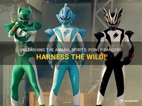 Unleashing the Power: A Comprehensive Guide to Power Rangers Animal Force Toys