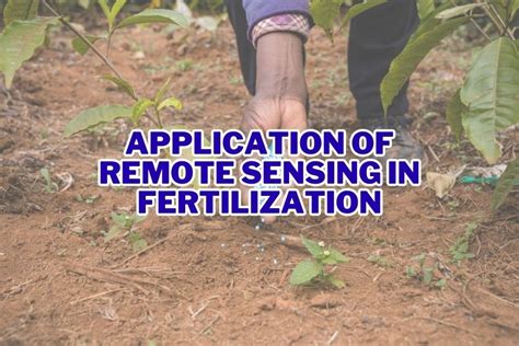 Unleashing the Power of Even Fertilization for Enhanced Crop Productivity