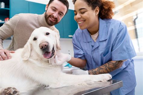 Unleashing the Power of Pet Care Professionals for Enhanced Animal Well-being