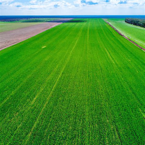 Unleashing the Power of Precision Farming