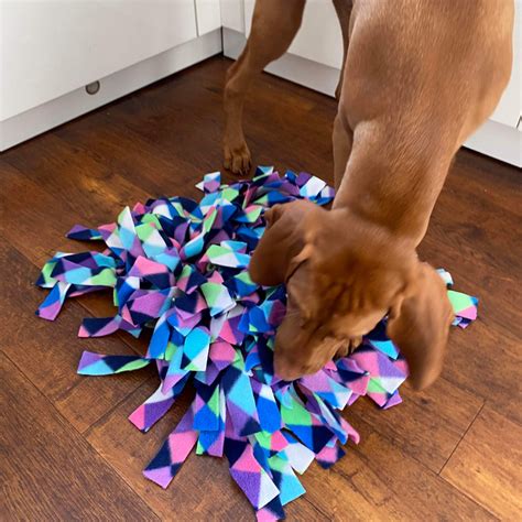 Unleashing the Power of Snuffle Mats: A Comprehensive Guide to Cognitive Enrichment for Your Feline Friend