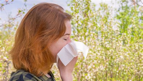 Unleashing the Secret: Why Mints Make Me Sneeze