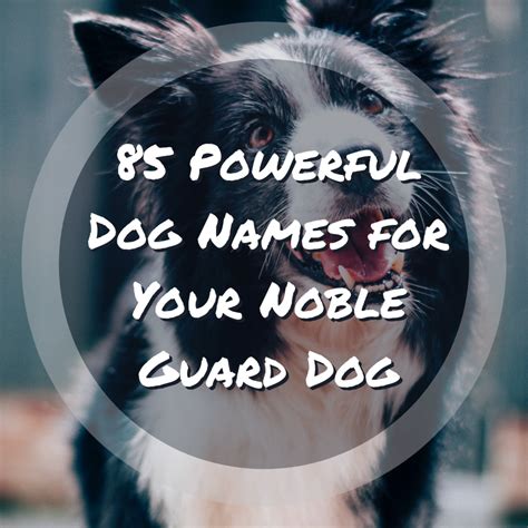 Unleashing the Strength: Powerful Dog Names for Dogs with Unwavering Resolve