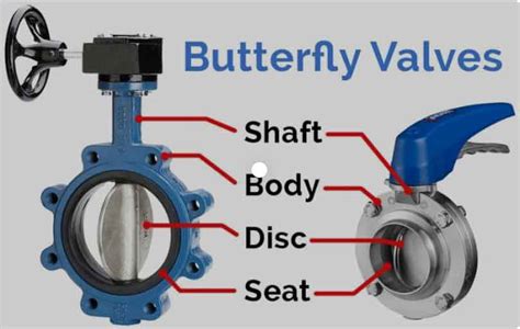 Unlock Growth Potential with bf valveo's Innovative Valve Solutions