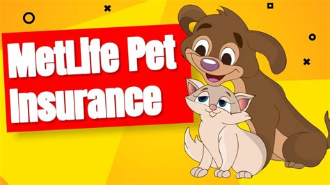 Unlock Peace of Mind with Comprehensive MetLife Pet Insurance