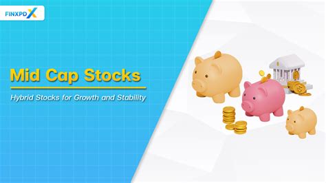 Unlock Stability and Growth: The Power of Aggregate Stocks in Your Portfolio