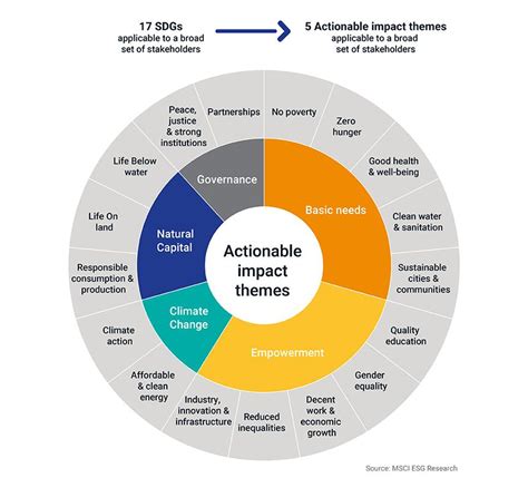 Unlock Sustainable Investment Success with MSCI ESG Manager