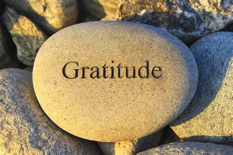 Unlock True Gratitude: Discover the Power of "gratefull" [product/service name]