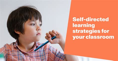 Unlock Your Academic Potential with SelfStudyBrain: A Comprehensive Guide to Effective Self-Directed Learning