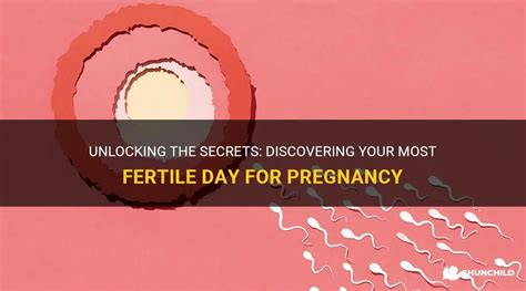 Unlock Your Fertility: Understanding the 