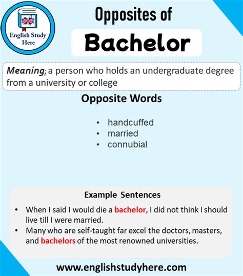 Unlock Your Happily Ever After: Finding the Perfect Bachelor Antonym