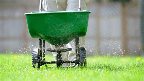 Unlock Your Lawn's Lush Potential with 3 Best Starter Lawn Fertilizers