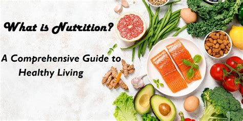 Unlock a Healthier Future: The Comprehensive Guide to Nutrition Courses in Singapore