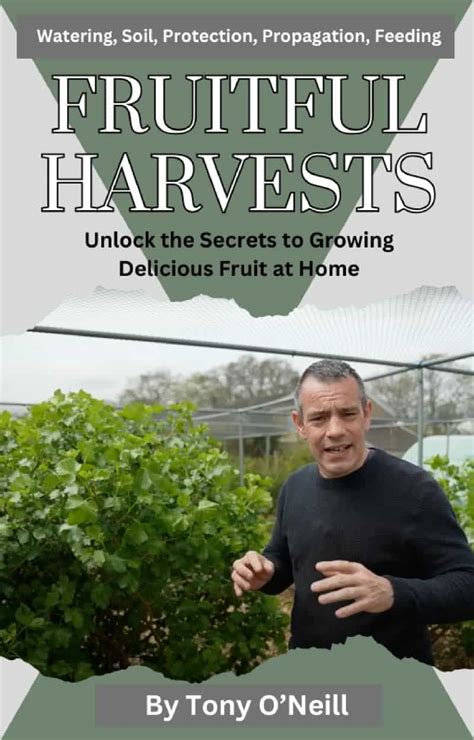 Unlock the Delicious Secrets of the Mammee: A Fruitful Journey for Your Business