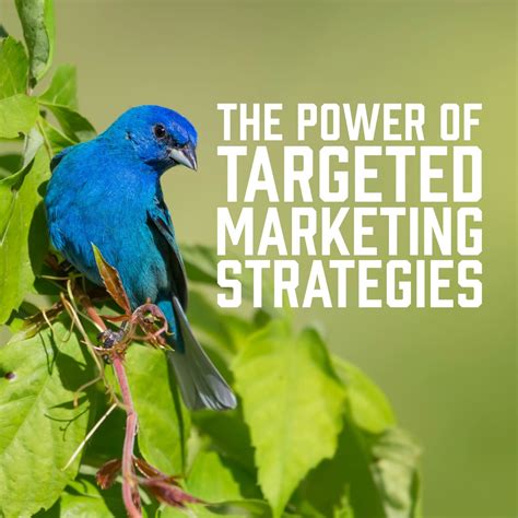 Unlock the Hidden Potential of Your Business in 04330 with Targeted Marketing Strategies