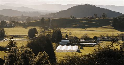 Unlock the Kiwi Spirit: Your Guide to NZ Sayings That'll Make You Sound Like a True-Blue Local