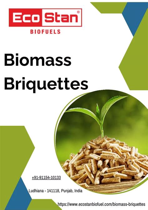 Unlock the Potential of Biomass: An Eco-friendly Fuel Source