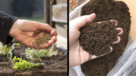 Unlock the Potential of Organic Wealth: Dive into the Thriving Organic Fertilizer Market