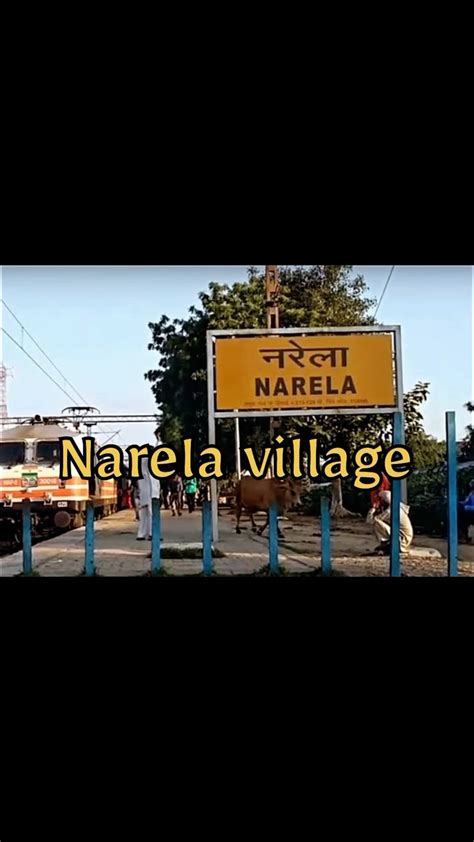 Unlock the Potential of Your Business in Narela: A Thriving Suburb of Delhi