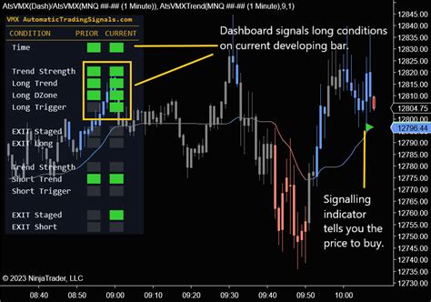 Unlock the Power of Automated Trading with NinjaTrader**