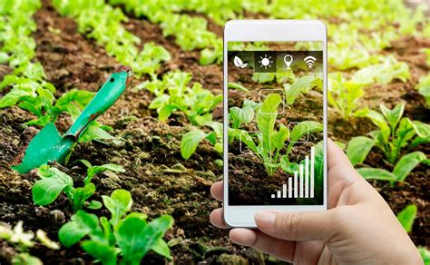 Unlock the Power of Nature with Elecgrove: A Comprehensive Guide to Smart Gardening Solutions