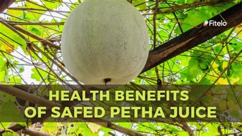 Unlock the Power of Safed Petha: Your New Ally for Summer Wellness