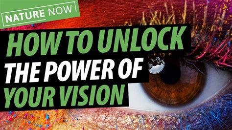 Unlock the Power of Vision with Your Donation