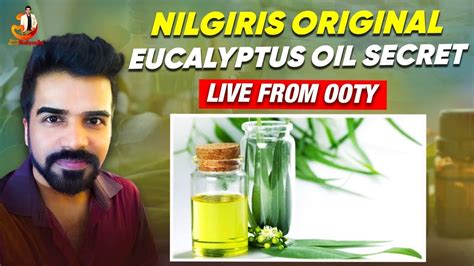 Unlock the Secret of Nilgiri Oil: Uncover Its Value and Pricing