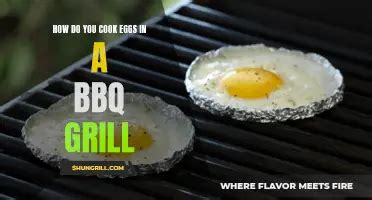 Unlock the Secrets of BBQ Perfection: A Comprehensive Guide to Mastering Your Grill