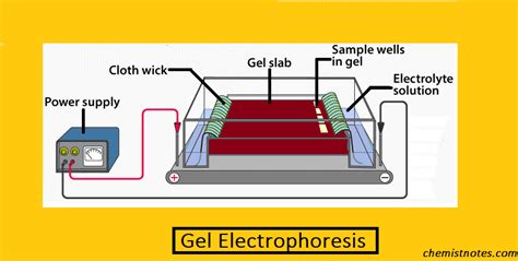 Unlock the Secrets of Cataphoresis: A Comprehensive Guide to its Definition and Applications