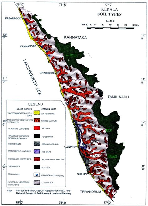 Unlock the Secrets of Kerala's Enchanting Soils: A Guide to Nature's Fertility