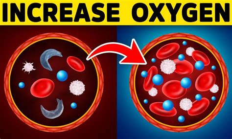 Unlock the Secrets of Oxygen: A Vital Element for Life